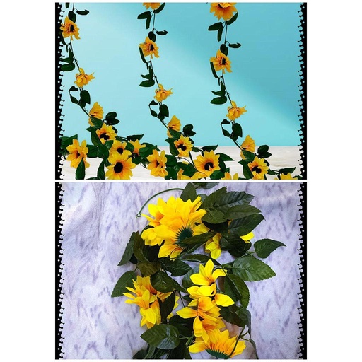 [EDG01] Enredadera de girasol 2 Mtrs